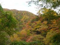 茶臼岳