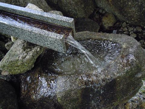 DSCN8557y.jpg