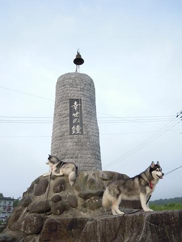 DSCN8701y.jpg