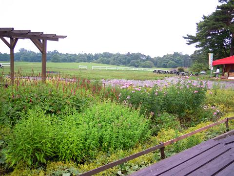 DSCN8713y.jpg