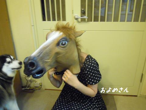 DSCN9285y_20120819082807.jpg
