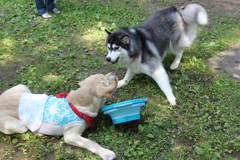 IMG_0872y.jpg