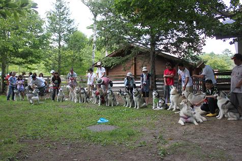 IMG_0922y.jpg