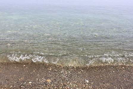 IMG_2298y_20120818141938.jpg