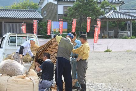 IMG_2307y.jpg