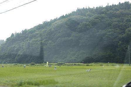 IMG_2322y.jpg