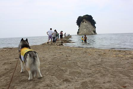 IMG_2363y_20120818142454.jpg