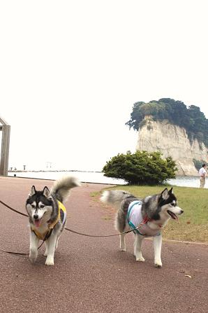 IMG_2385y_20120818142454.jpg