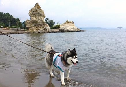 IMG_2408y_20120818141939.jpg