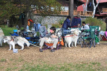 IMG_3462y.jpg