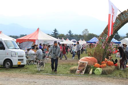 IMG_3464y.jpg