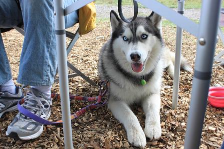 IMG_3480y.jpg