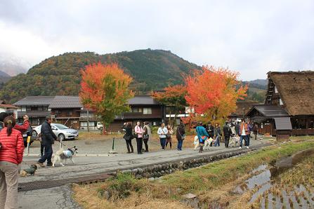 IMG_4160y.jpg