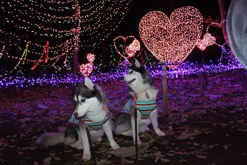 IMG_4543y.jpg
