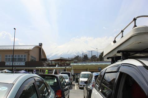IMG_5885y.jpg