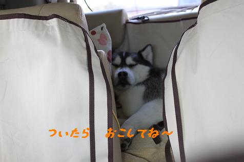IMG_6041yo.jpg
