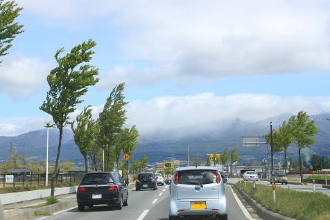 IMG_6042y.jpg