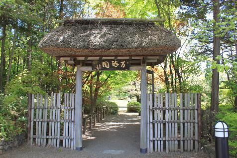 IMG_6150y.jpg