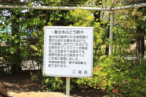 IMG_6151y.jpg