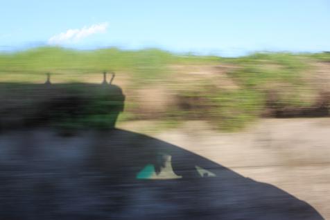 IMG_6243y.jpg