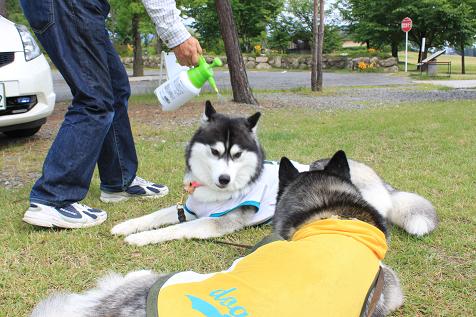 IMG_8357y.jpg