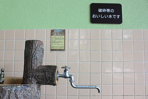 IMG_8476y.jpg