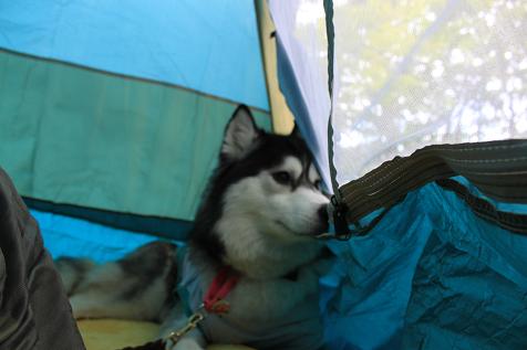 IMG_8722y_20120703144856.jpg