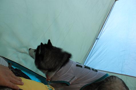IMG_8725y_20120703144855.jpg