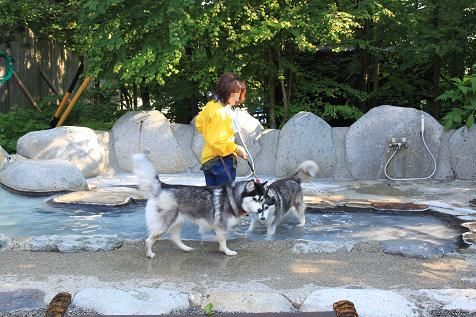 IMG_8768y.jpg