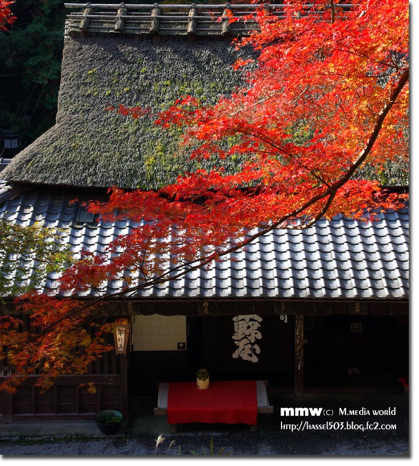 kyoto_au07.jpg