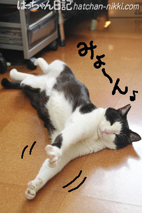 130417-2.jpg