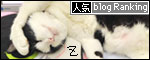banner130419.jpg