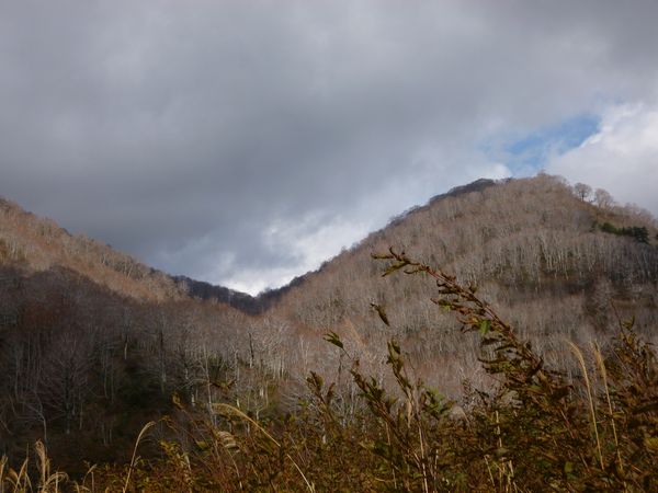 P1030782.jpg