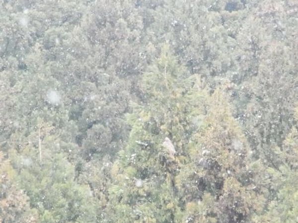 RIMG0853.jpg