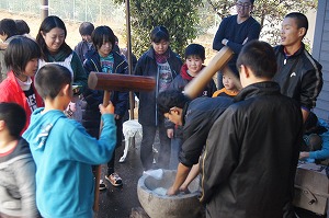 DSC08348.jpg