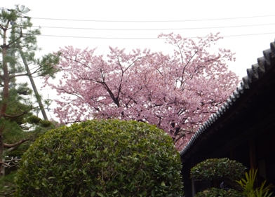 blog0317_143644.jpg