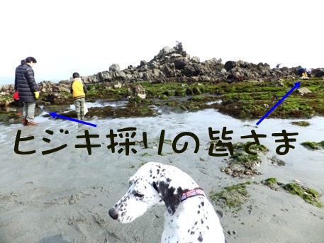 blog_0201_134145.jpg