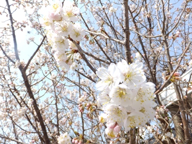 blog_0309_142928.jpg