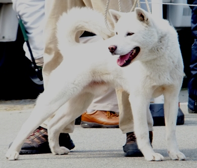 blog_0310_111157.jpg