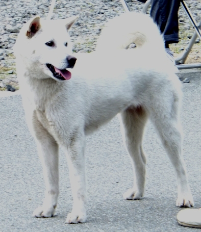blog_0310_120448.jpg