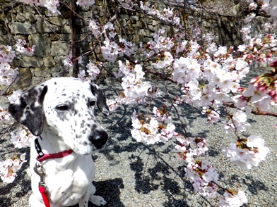 blog_0330_130855.jpg