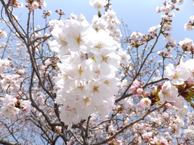 blog_0330_131004.jpg