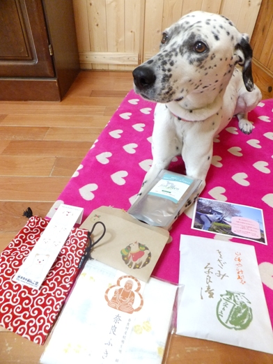 blog_0429_161210.jpg