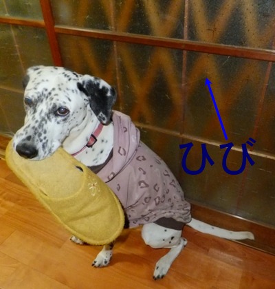 blog_0511_181538.jpg