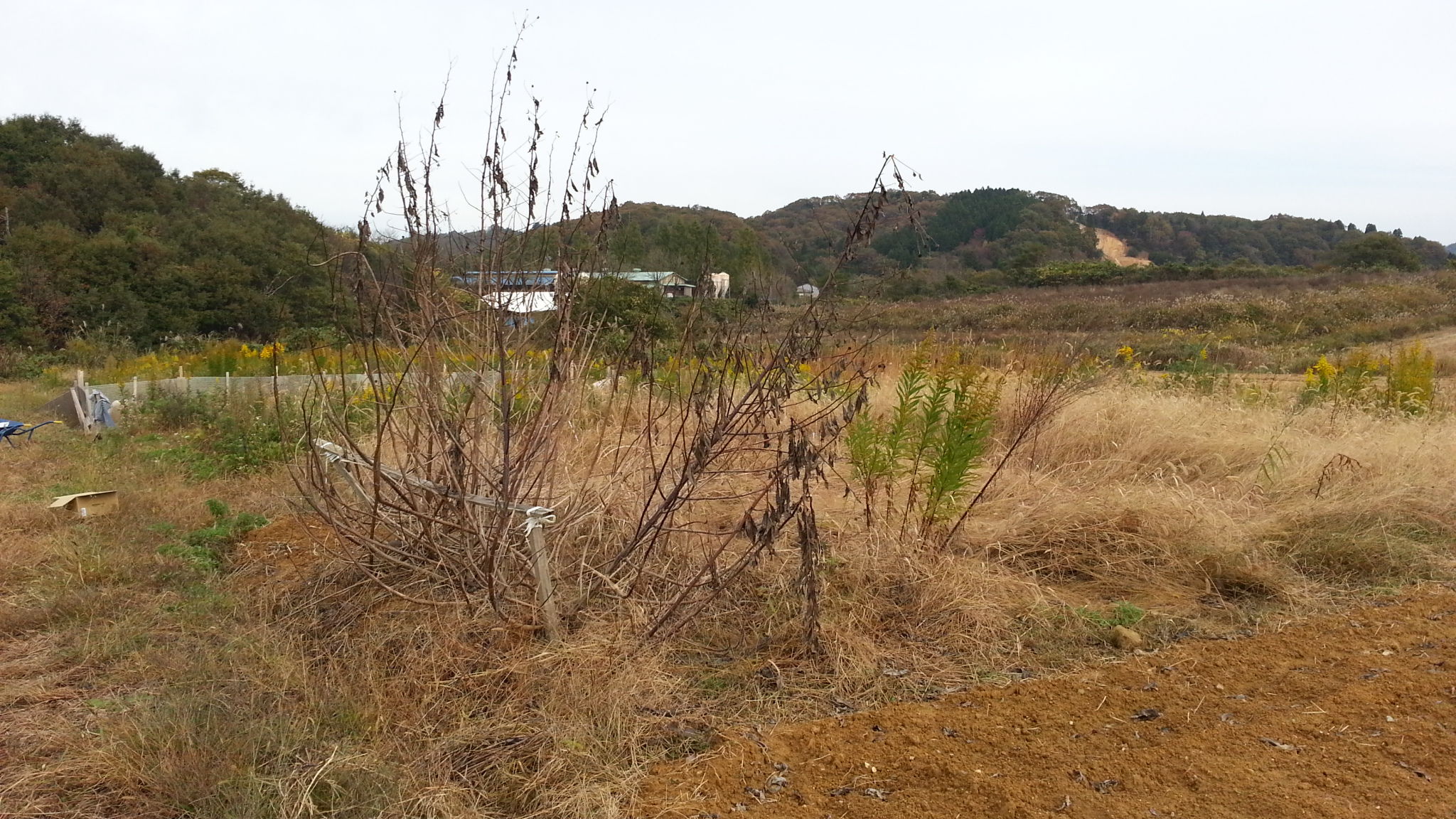 20141108_101140.jpg