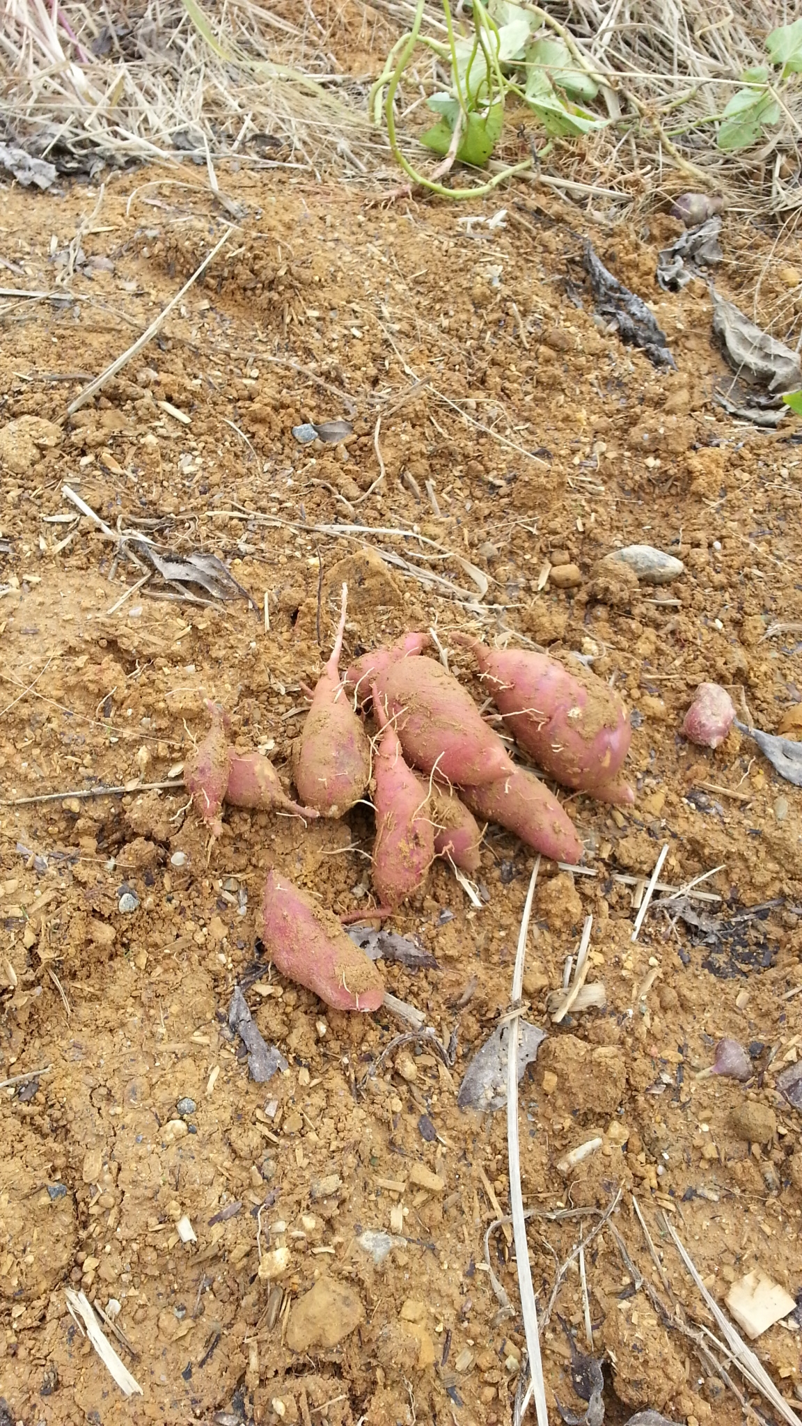 20141108_103847.jpg