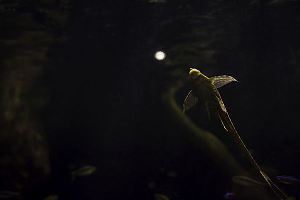 IMG_0618-Edit-2-1_R.jpg