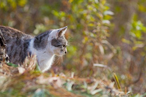 IMG_7245_R.jpg
