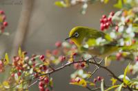 IMG_7392-1_R.jpg