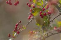 IMG_7412-1-1_R.jpg
